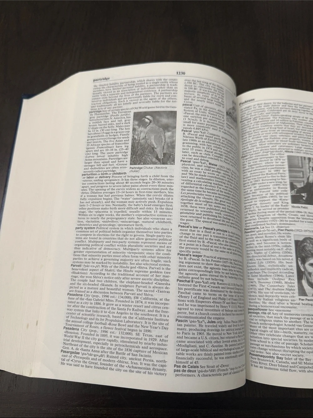 Collegiate Encyclopedia Hardcover in Blue